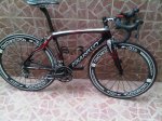 IMG01251-20120608-1850.jpg