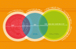 650b medida real grafico.gif