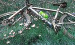 PHOTO_1338204925101.jpg