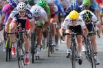 _1afp0207201217h48m1666_a4141170.jpg