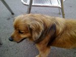 29062012331.jpg
