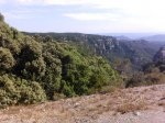 IMG_20120702_172910.jpg