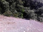 IMG_20120702_172940.jpg