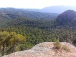 IMG_20120702_175608.jpg