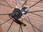 mavic 004 (800 x 600).jpg