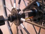 mavic 005 (800 x 600).jpg