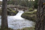 100_5489.JPG
