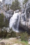 100_5493.JPG