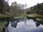 DSC02005.JPG