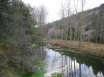 DSC02025.JPG