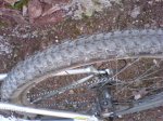 DSC00444.JPG