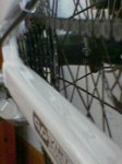 piÃ±on4.jpg
