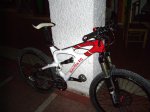 ibis1 copia.jpg