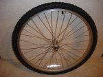 Tequesta rueda del.JPG