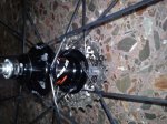 DSC00350.jpg