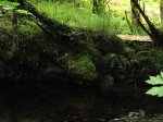 IMG_1244.JPG