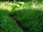 IMG_1250.JPG
