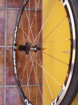 IMG-20120704-WA0003.jpg