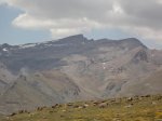 DSC03525_800x600.jpg