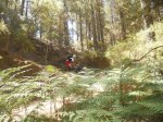 DSCN3316.jpg