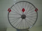 Mavic  Cosmos 001.JPG
