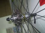 Mavic  Cosmos 002.JPG