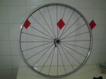 Mavic  Cosmos 004.JPG