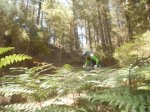 DSCN3318.jpg