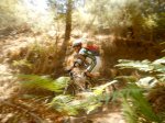 DSCN3320.jpg