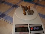 DSC00767.JPG