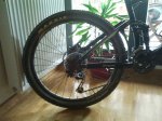 maxxis larsen tt.jpg