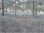 24al coronar gira a la derecha.jpg