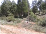 27y despues de 500 m entramos a la senda.jpg