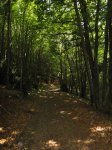 DSC01732.jpg