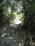 DSC01907.jpg
