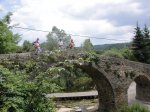 DSC09075.jpg