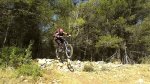 Foxy%u00252520saltos-troncos%2520Frame%2520-%2520142.jpg