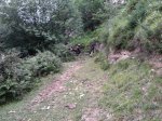 2012-07-07 13.47.06.jpg