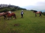 2012-07-07 14.03.01.jpg