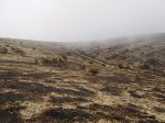 06072012683.jpg