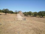 IMGP0023 (Copiar).JPG