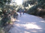 IMGP0026 (Copiar).JPG