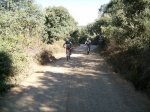 IMGP0027 (Copiar).JPG
