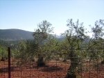 IMGP0029 (Copiar).JPG