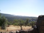 IMGP0031 (Copiar).JPG