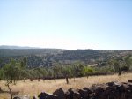 IMGP0032 (Copiar).JPG