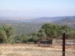 IMGP0036 (Copiar).JPG