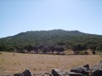 IMGP0038 (Copiar).JPG