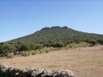 IMGP0039 (Copiar).JPG