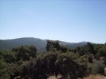IMGP0045 (Copiar).JPG